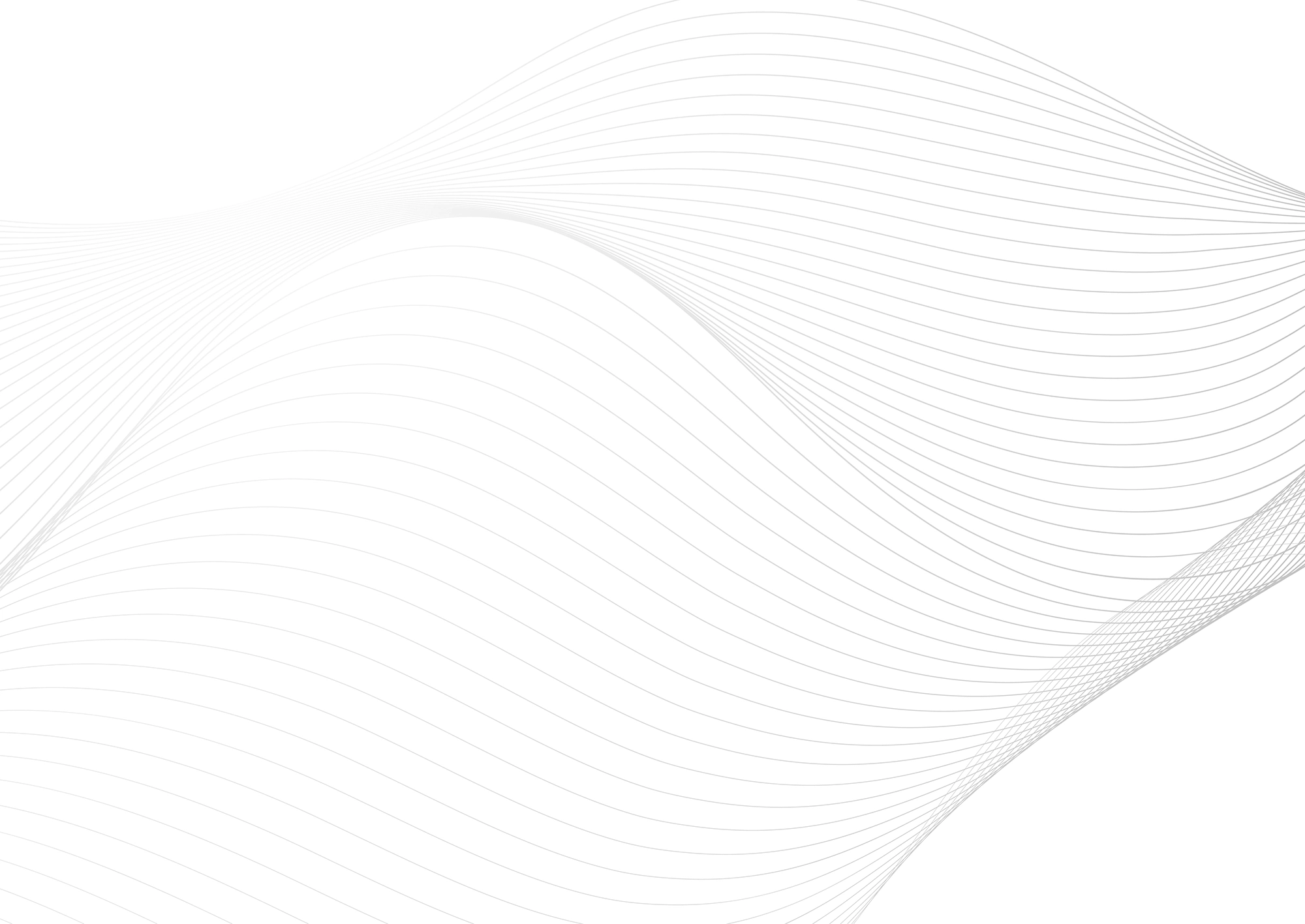 Web Site Tasarımcısı, Osmaneli